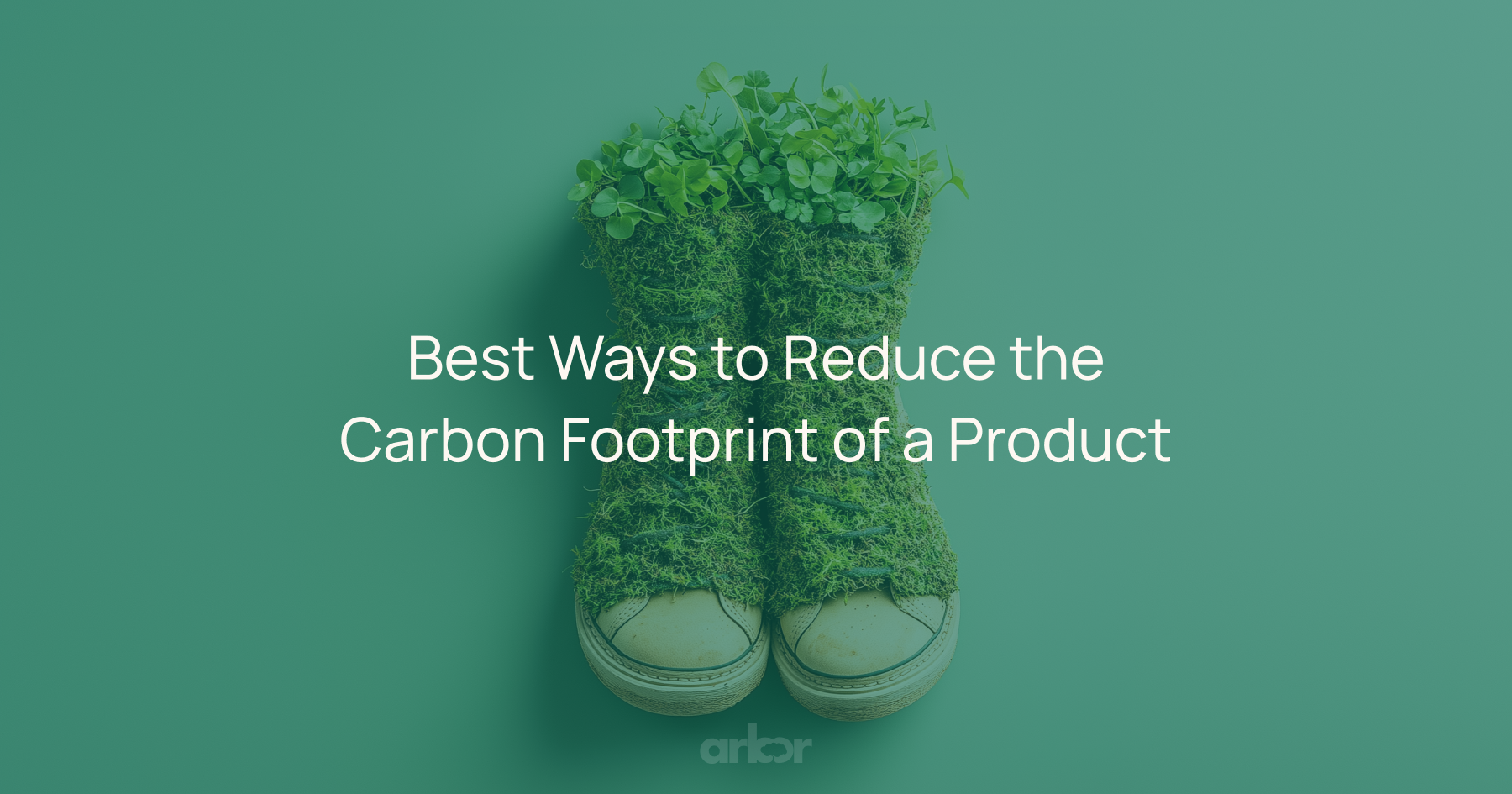 12 Ways to Reduce the Carbon Footprint of a Product Arbor